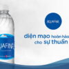 Aquafina chai 355ml